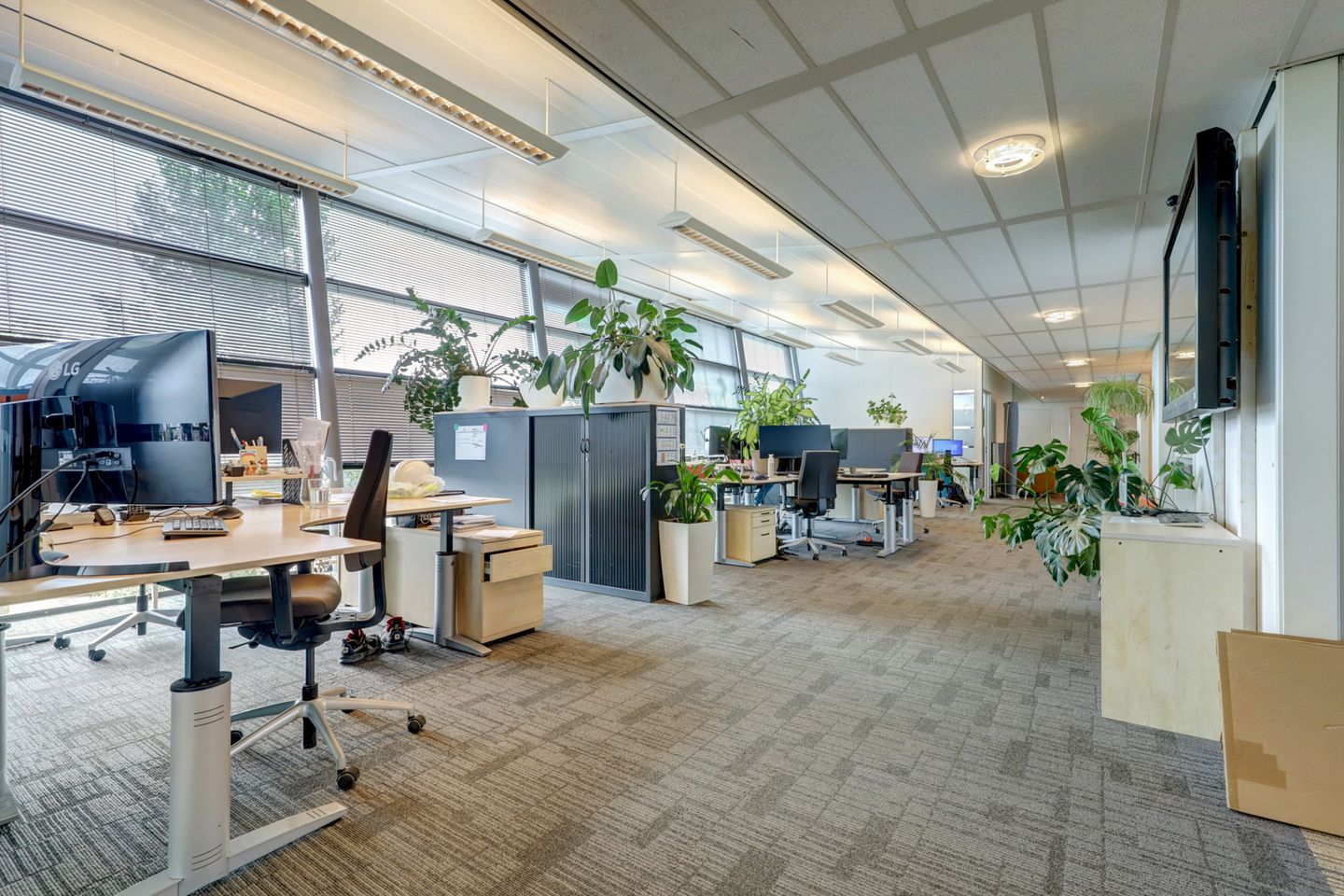 View photo 5 of Edelgasstraat 101