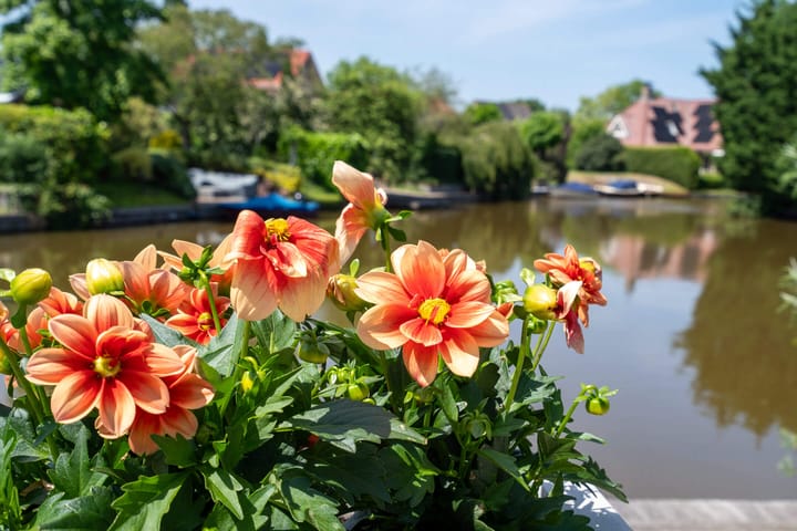 Photo 45 of Oeverloper 18