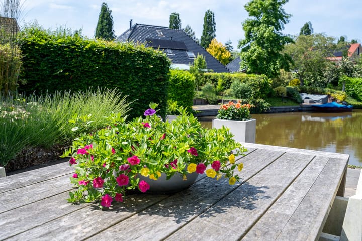 Photo 49 of Oeverloper 18