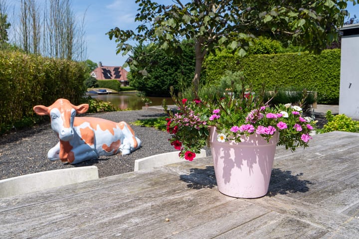 Photo 53 of Oeverloper 18