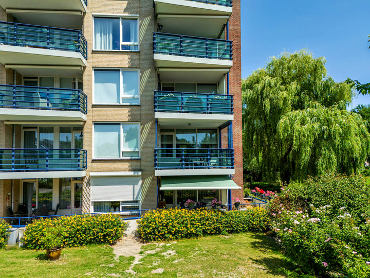 Photo 2 of Veldzuring 21