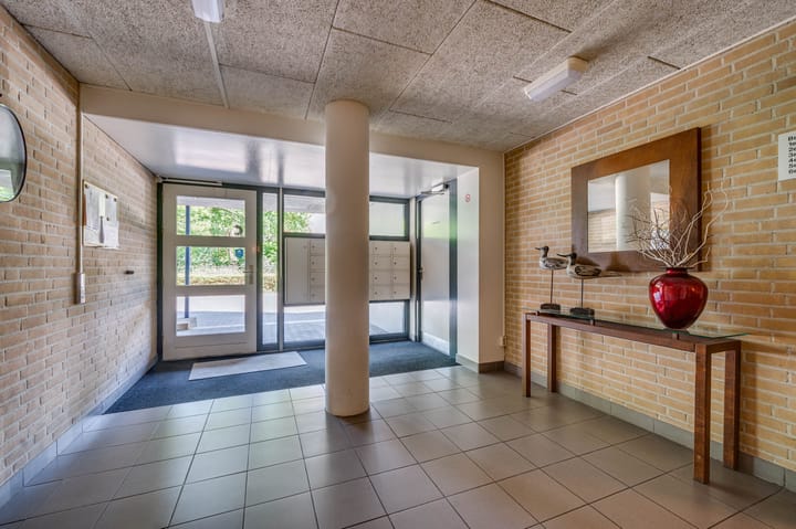 Photo 36 of Veldzuring 21