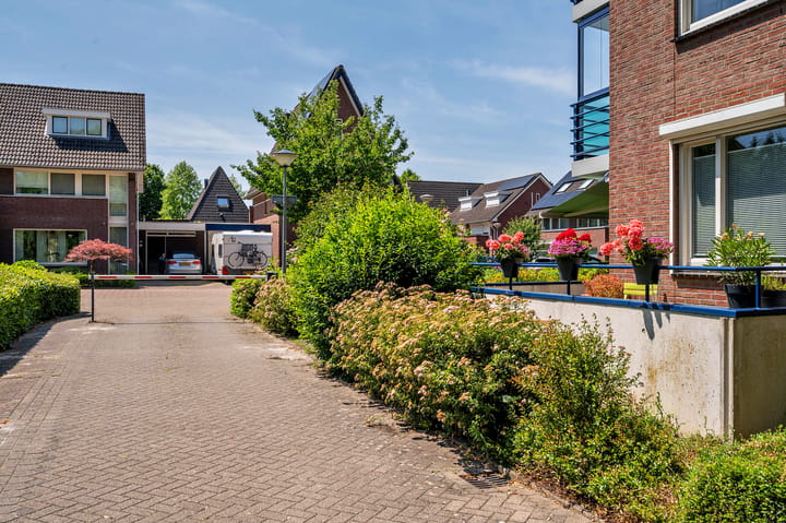 Photo 50 of Veldzuring 21