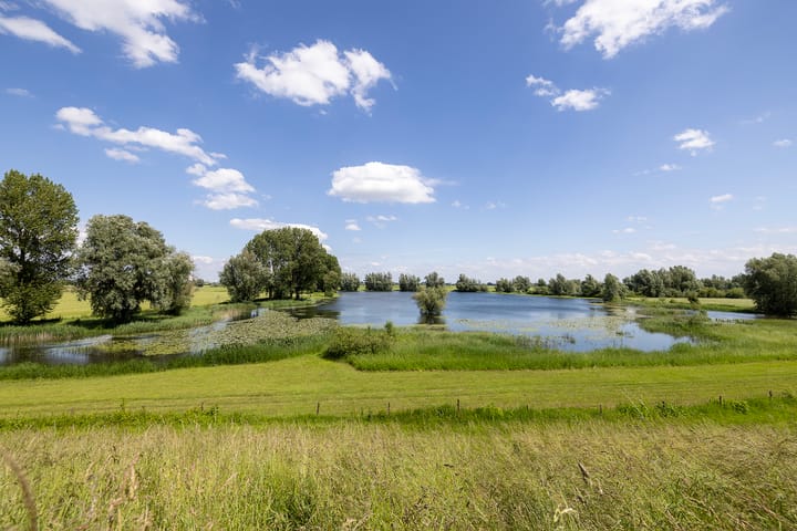 Foto 4 van Paddepoel 2-B