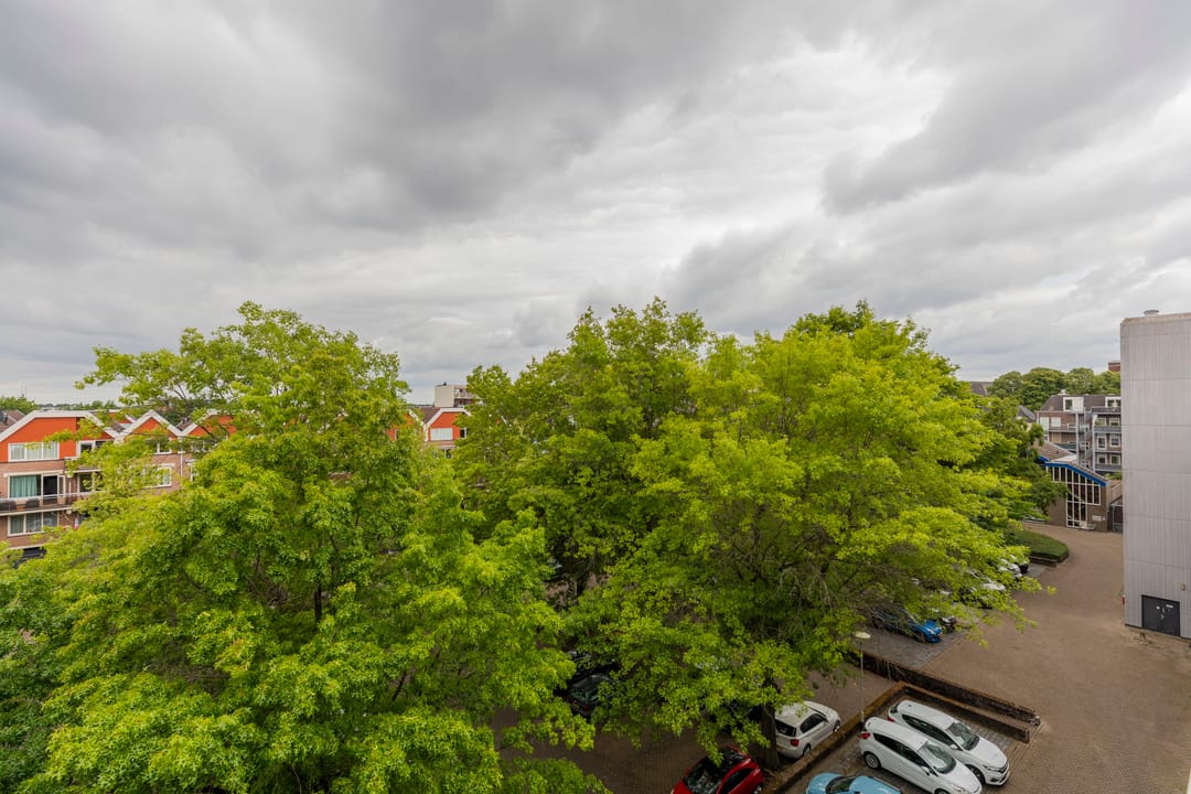 Photo 38 of Adriaan van Bergenstraat 370