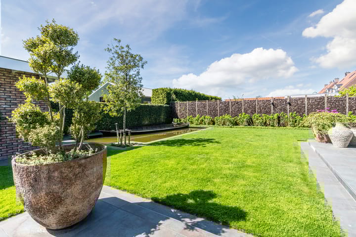 Foto 61 van Jan Wintersdijkje 50