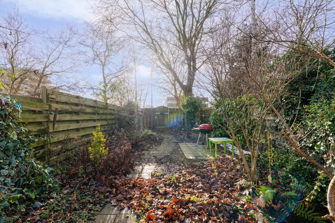 Photo 46 of Bastion 461