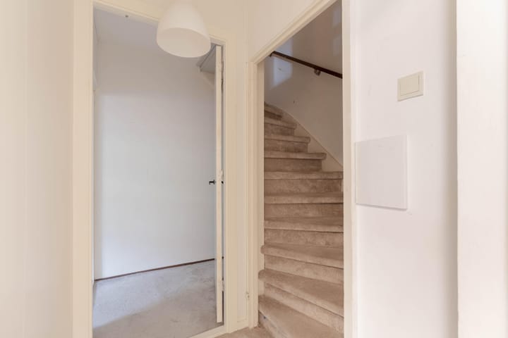 Photo 24 of Bastion 461