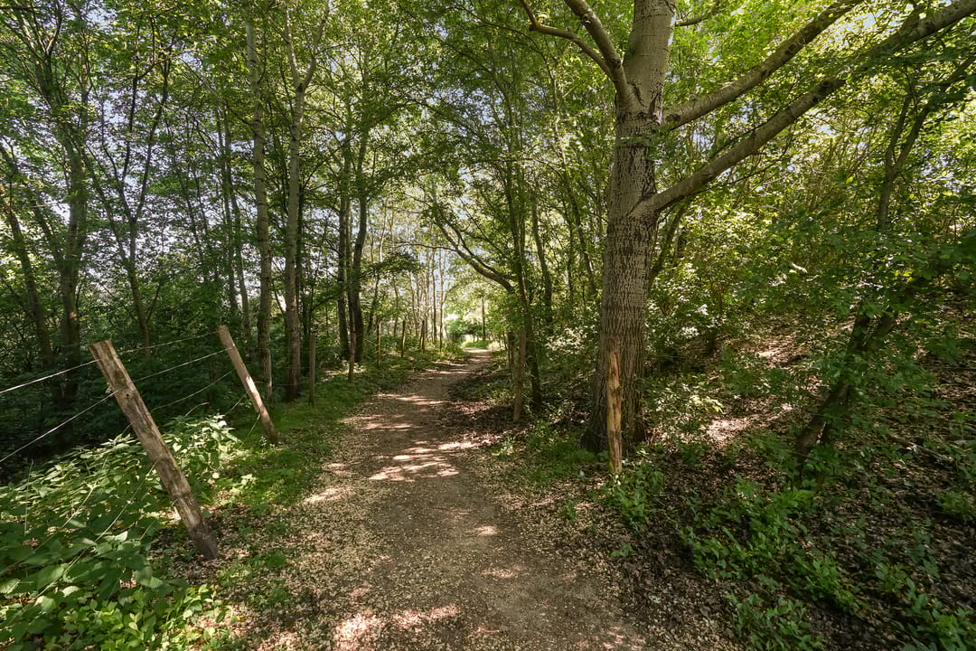 Foto 53 van Duinslag 19