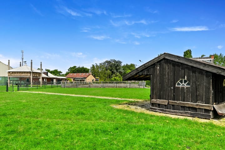 Foto 9 van Burgemeester van Doornlaan 9-A