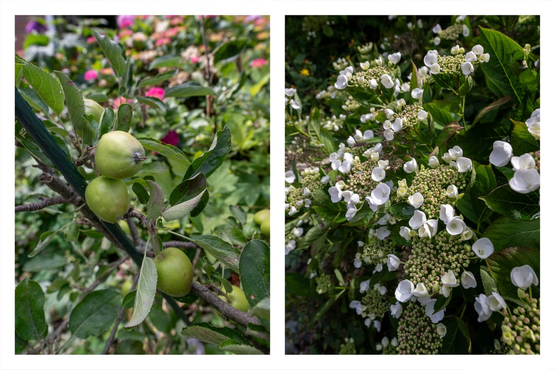 Foto 13 van Albert Schweitzerlaan 17