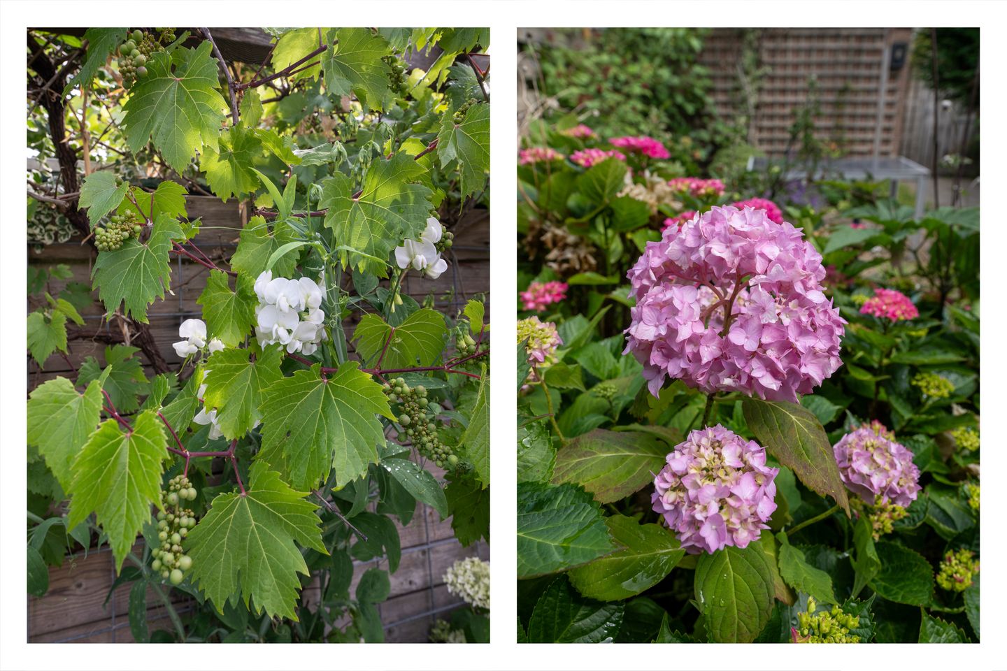 Foto 14 van Albert Schweitzerlaan 17