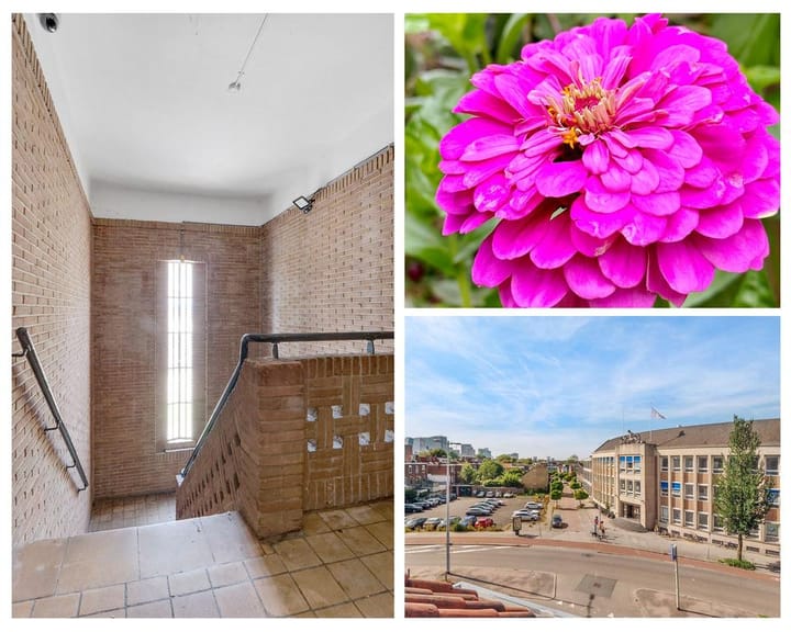 Foto 4 van Oudenoord 333