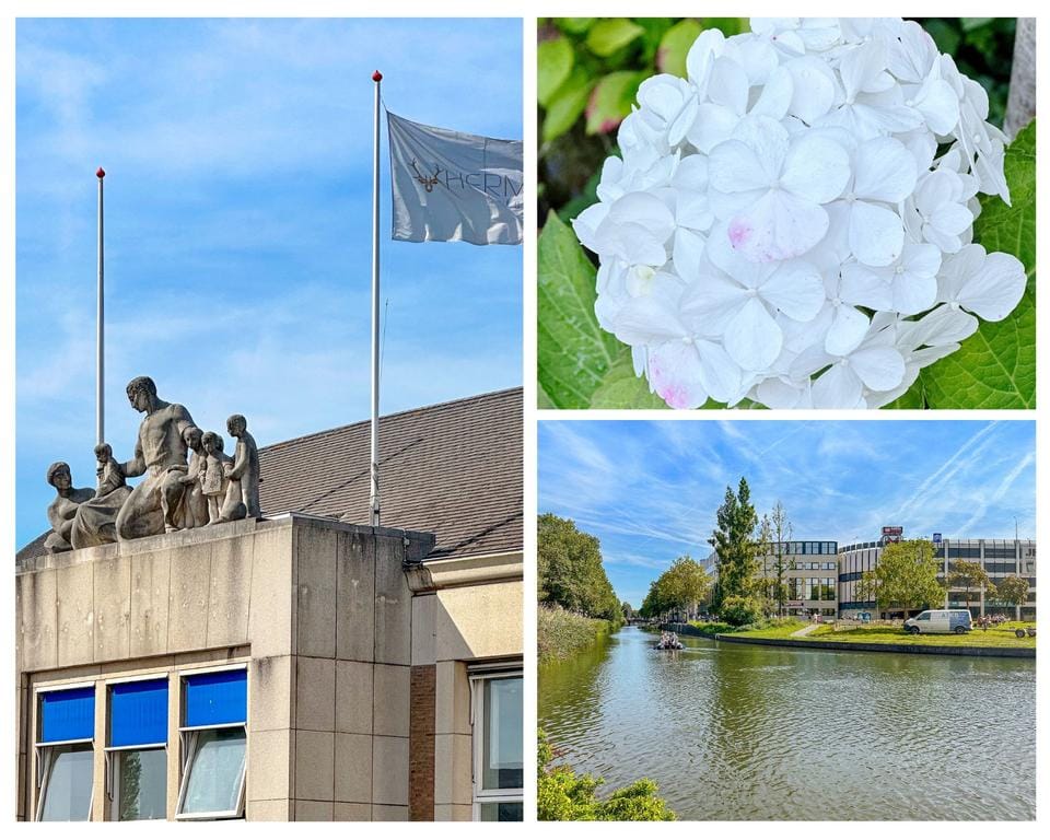 Foto 33 van Oudenoord 333