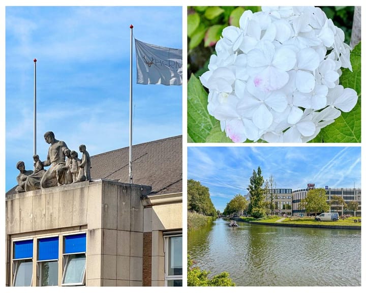 Foto 33 van Oudenoord 333