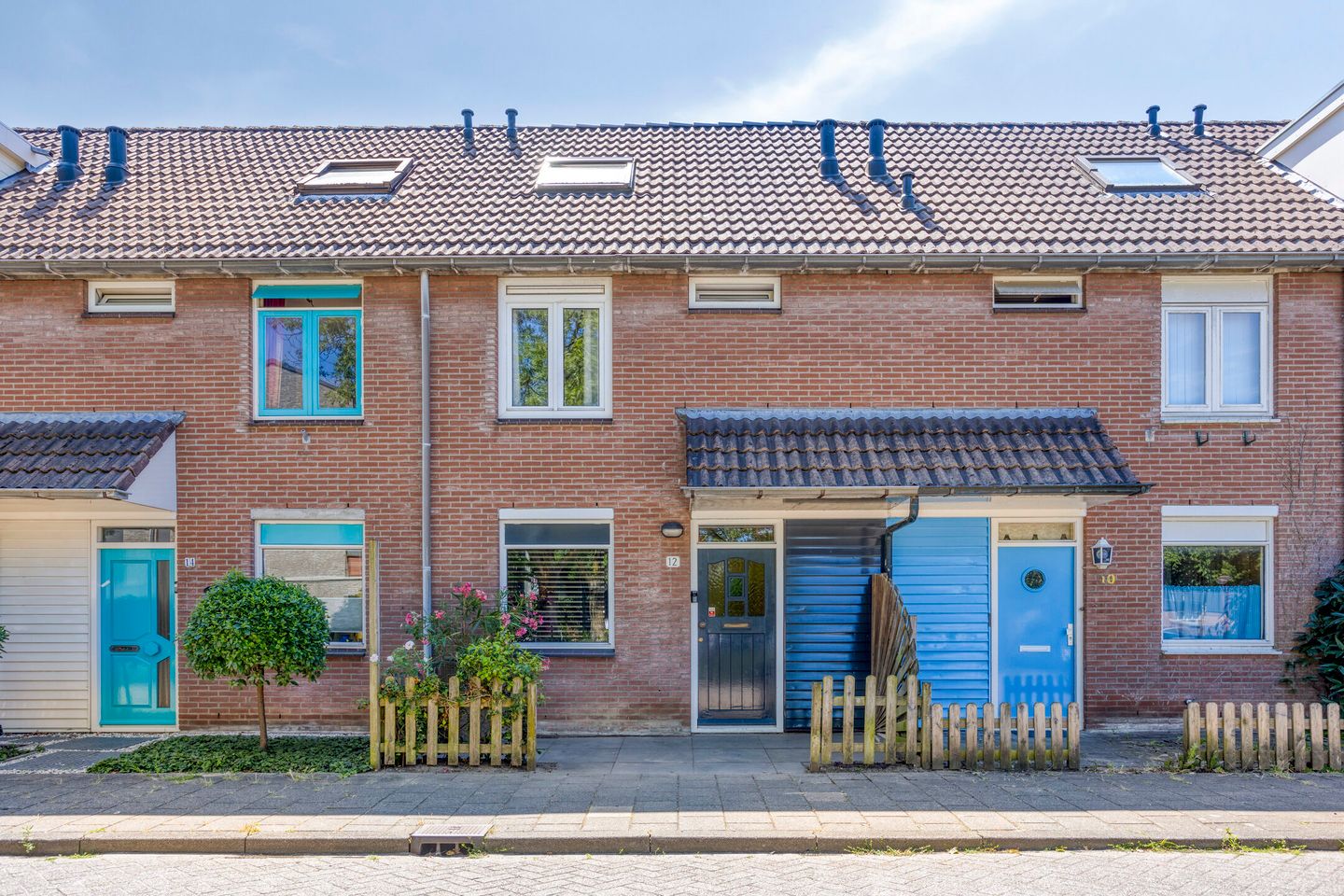 Photo 5 of Koningfazant 12