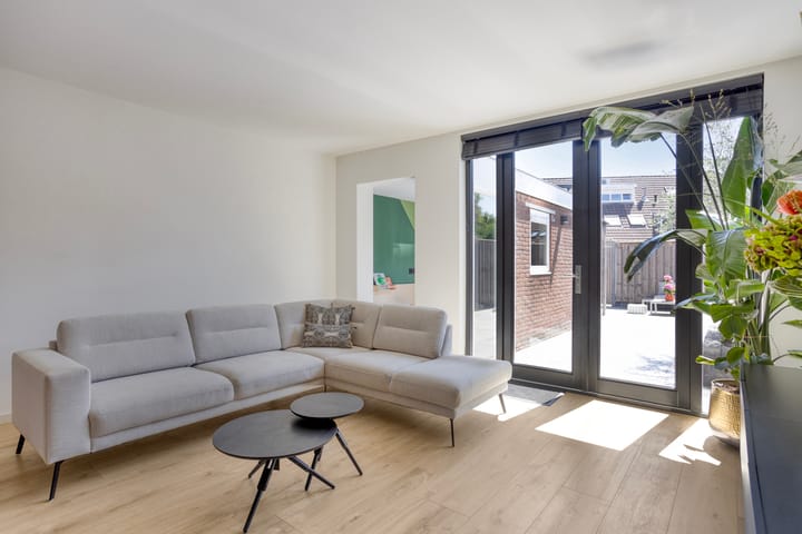 Foto 9 van Koningfazant 12