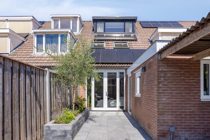 Foto 21 van Koningfazant 12