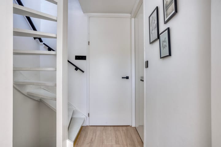 Foto 23 van Koningfazant 12