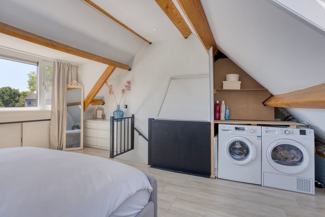 Photo 31 of Koningfazant 12