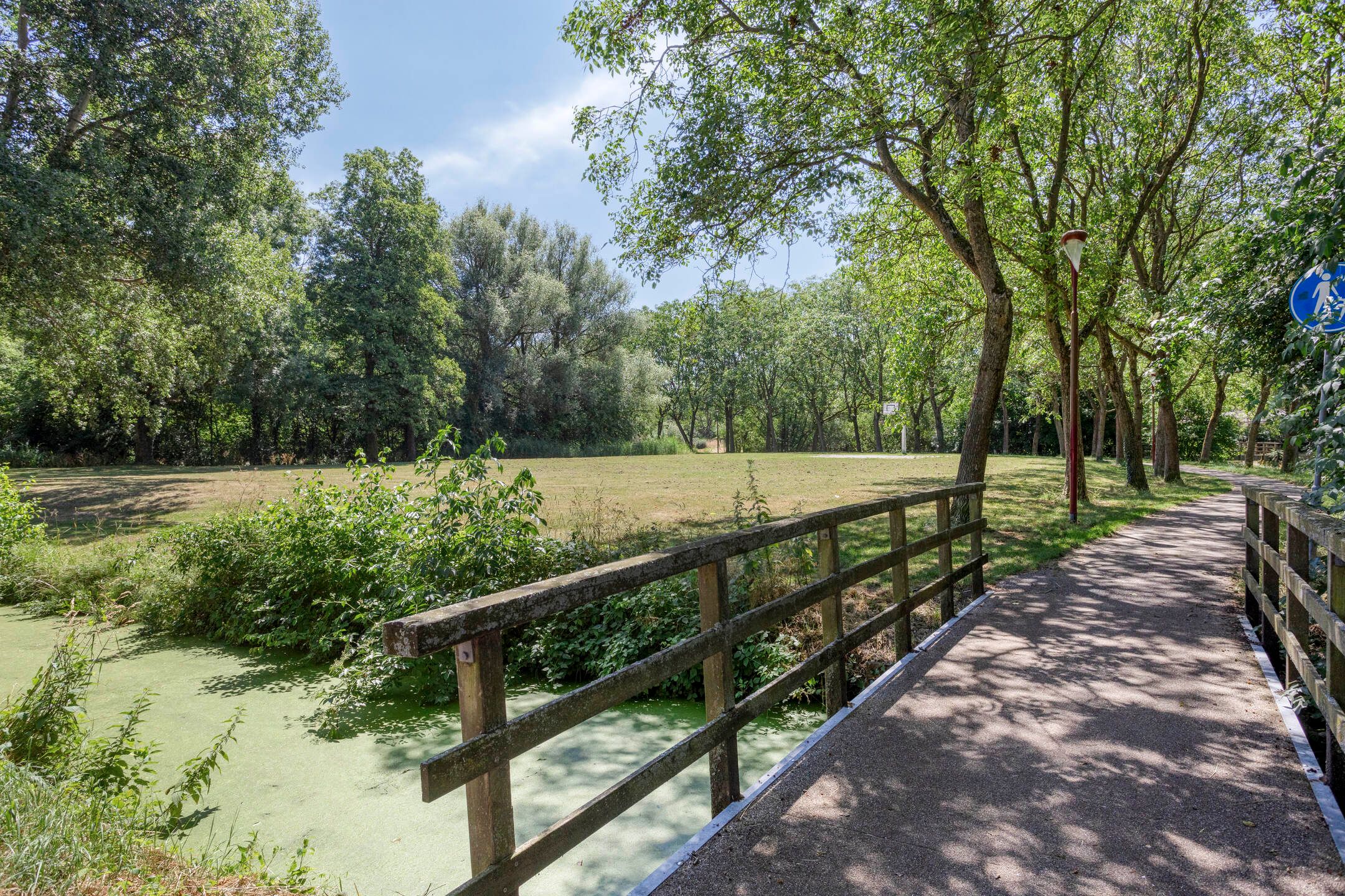 Photo 33 of Koningfazant 12