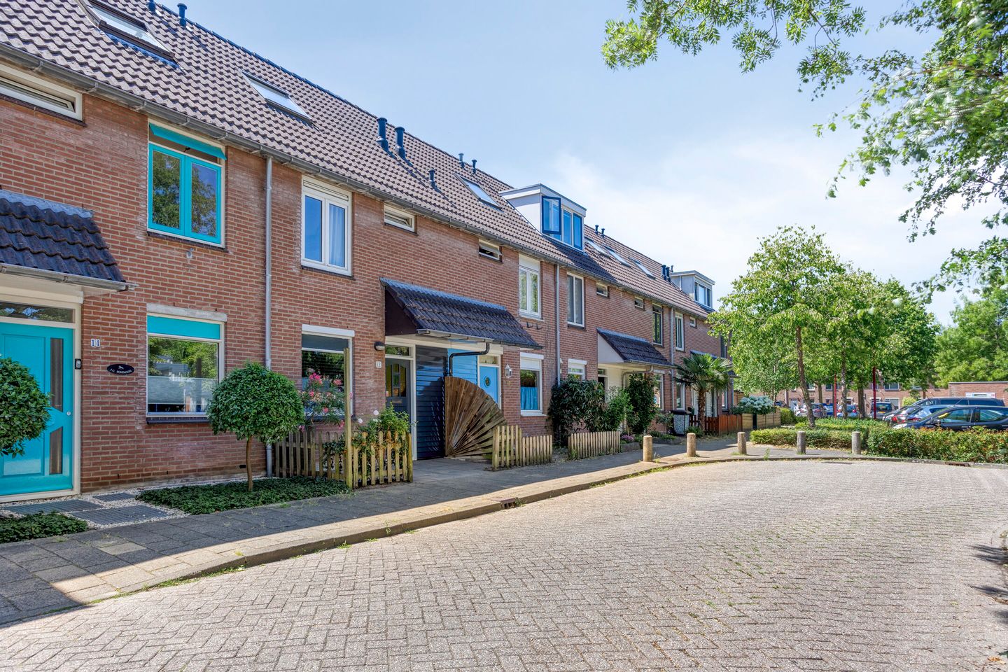 Photo 34 of Koningfazant 12