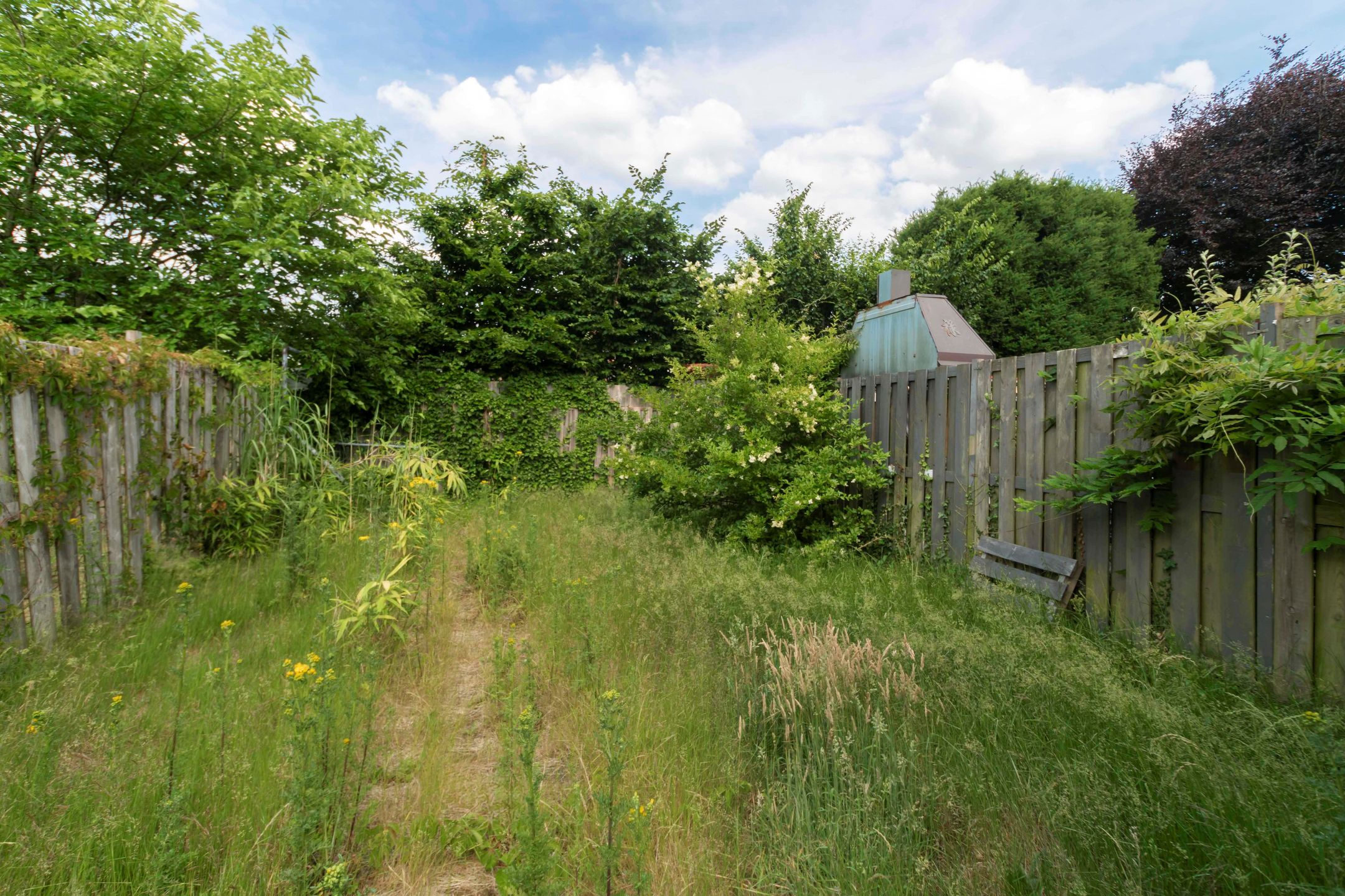 Foto 9 van van Ranststraat 20