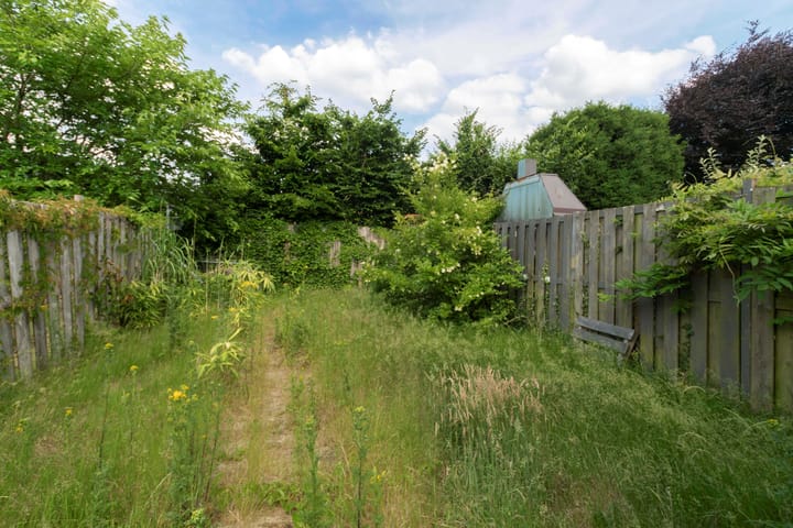 Foto 9 van van Ranststraat 20