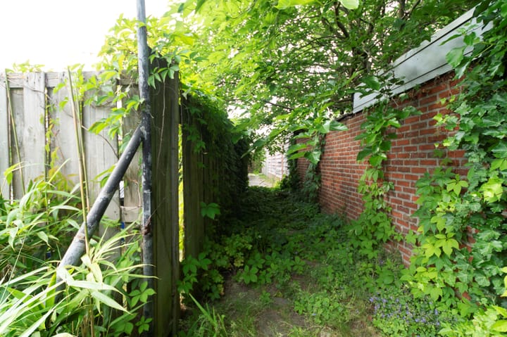 Foto 22 van van Ranststraat 20