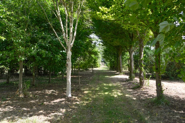 Foto 25 van Oud Eemnesserweg 29