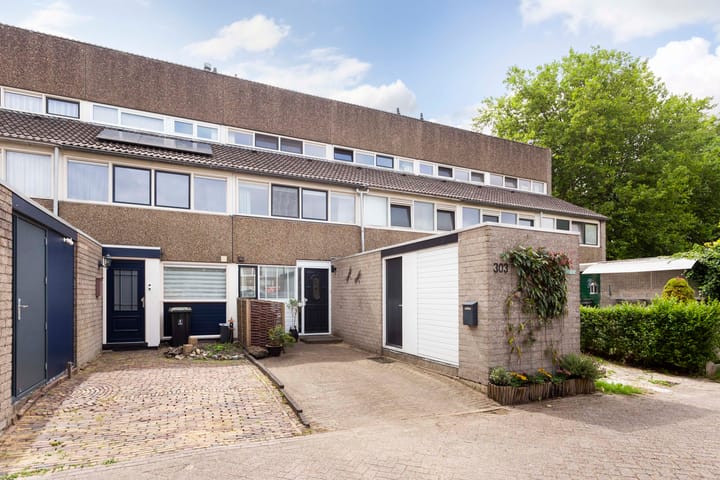 Foto 37 van Bloemstede 303