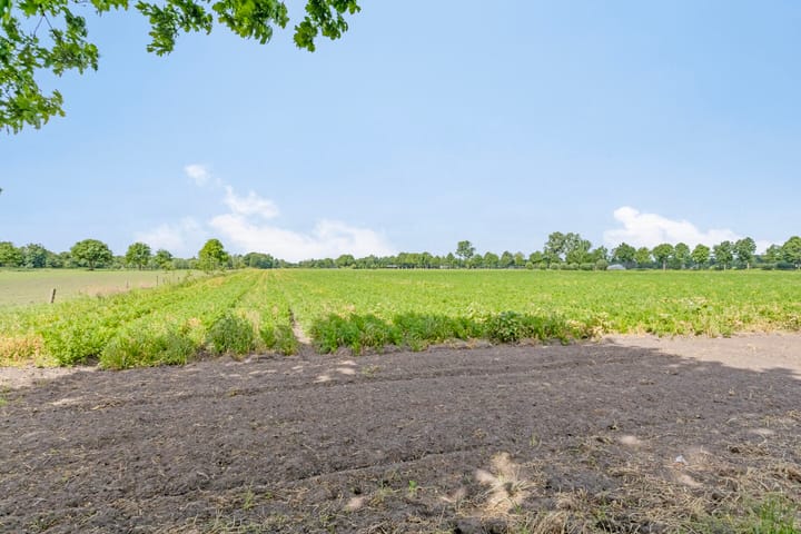 Foto 96 van Ginderdoor 37