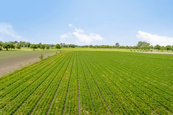 Foto 97 van Ginderdoor 37