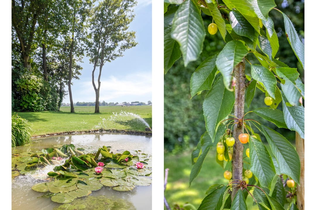 Photo 47 of Wijzend 23