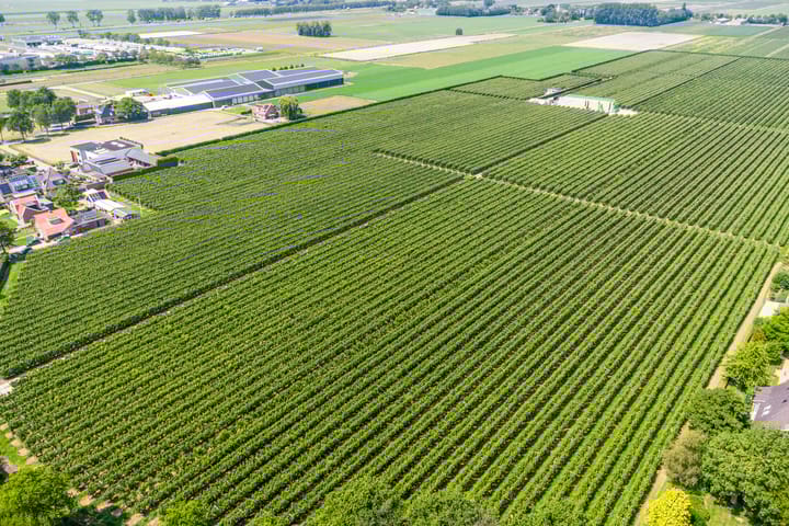 Photo 51 of Wijzend 23