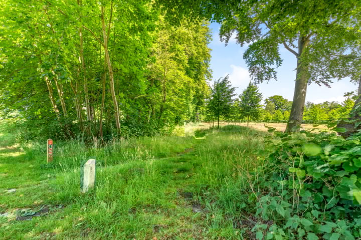 Foto 46 van Sweelinckstraat 5