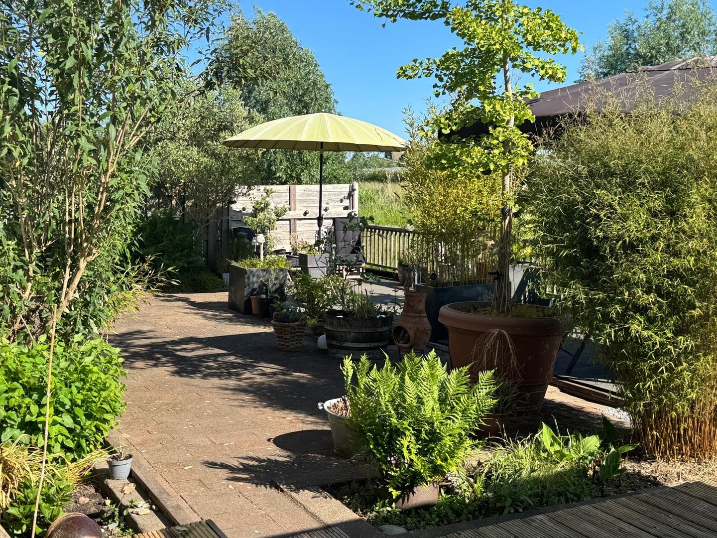 Foto 49 van Molendijk 79