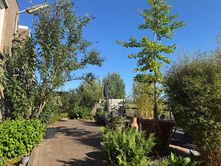 Foto 50 van Molendijk 79