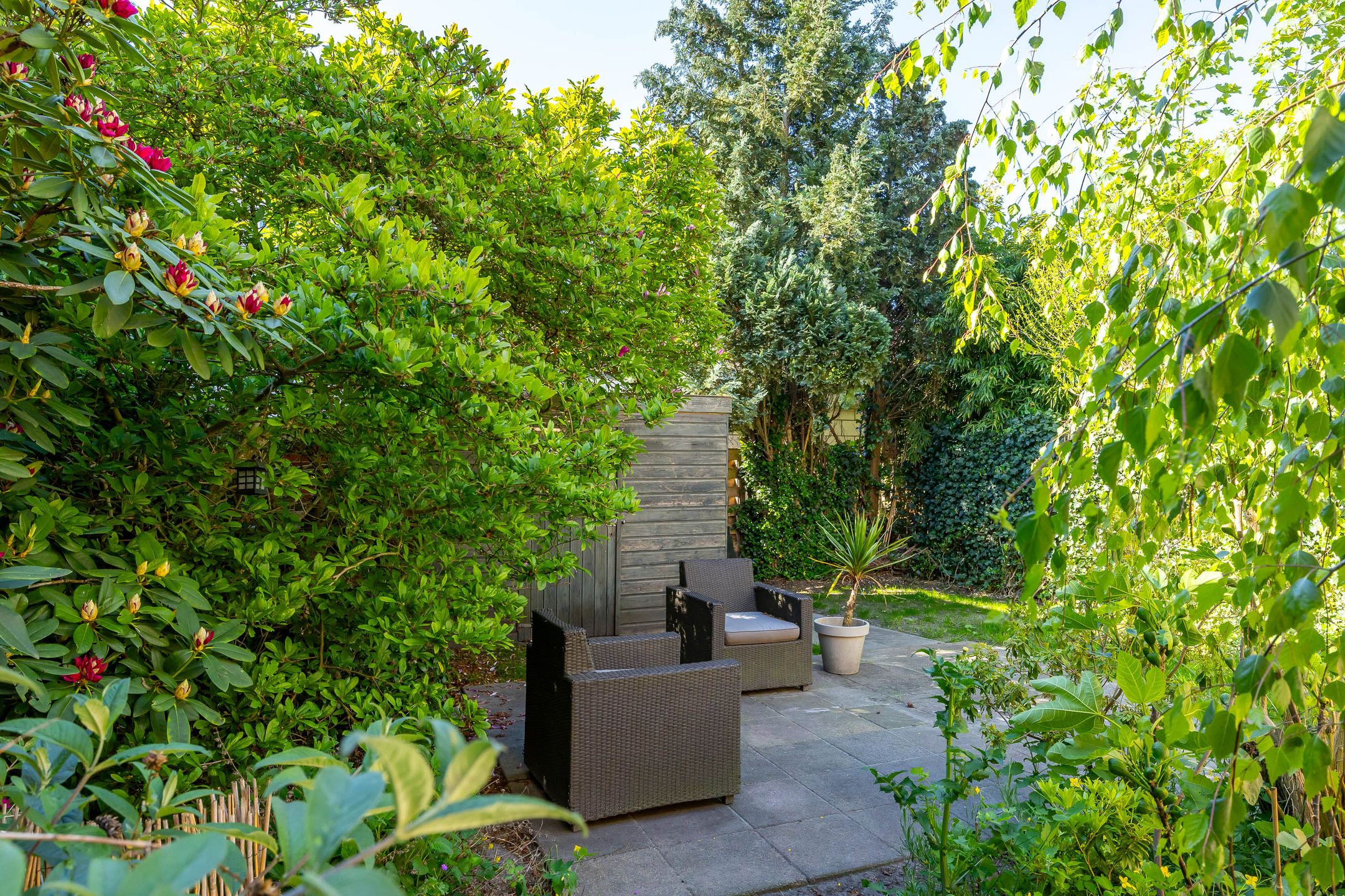 Foto 27 van Graaf Adolfstraat 78