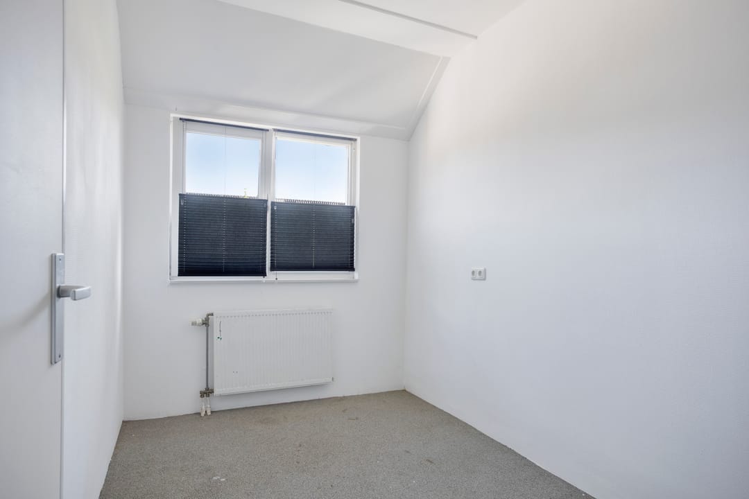 Photo 16 of Weegbree 26