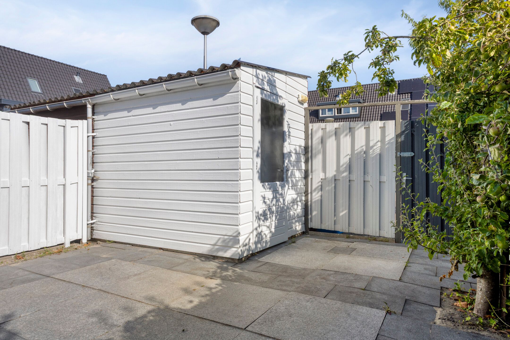 Photo 24 of Weegbree 26