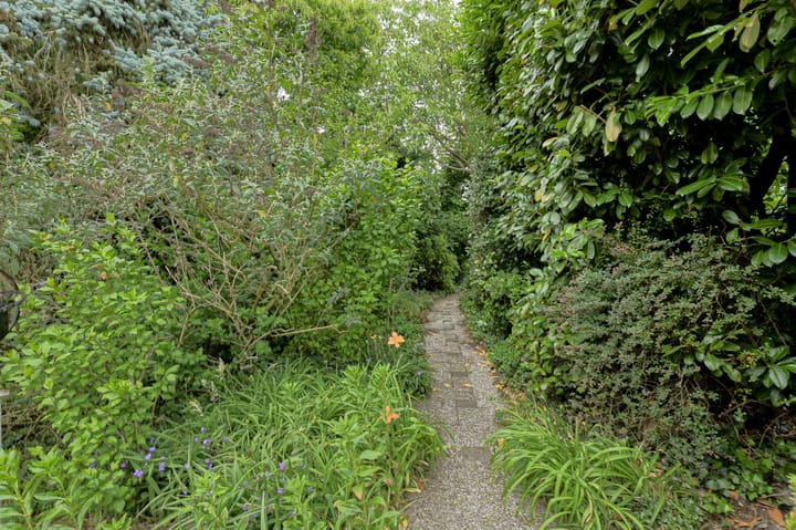 Foto 44 van Oude Bredaseweg 6