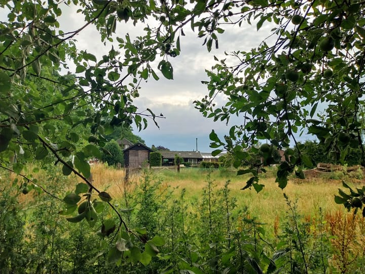 Foto 2 van Statenweg 43