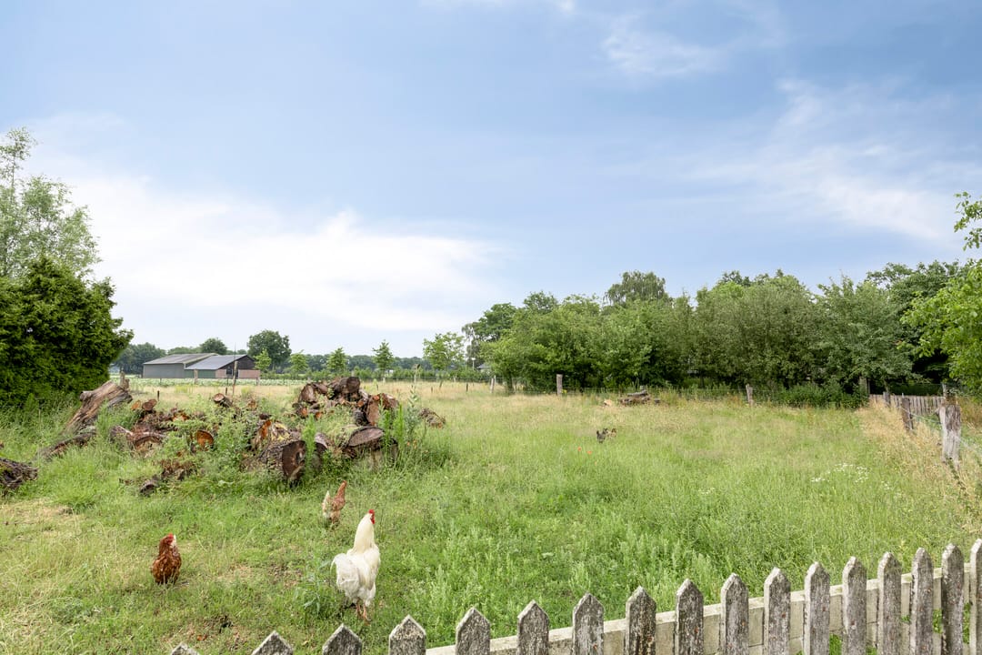 Foto 31 van Statenweg 43