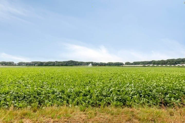 Foto 39 van Statenweg 43