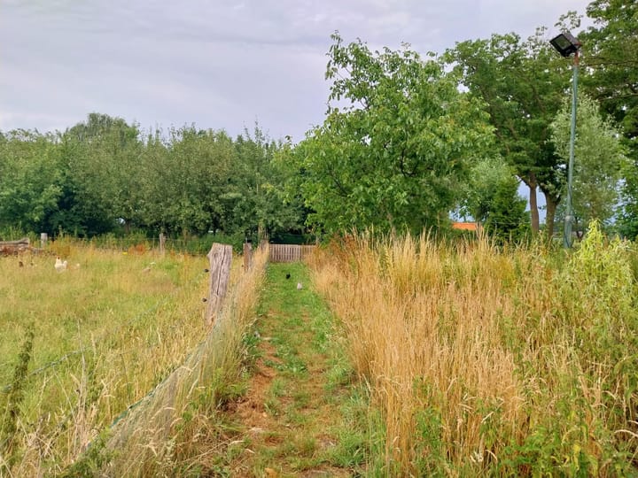 Foto 40 van Statenweg 43