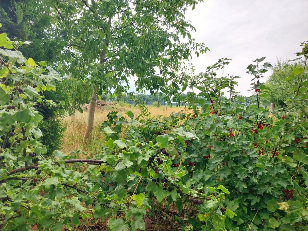 Foto 41 van Statenweg 43