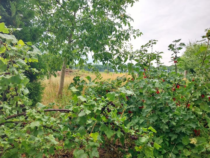 Foto 41 van Statenweg 43