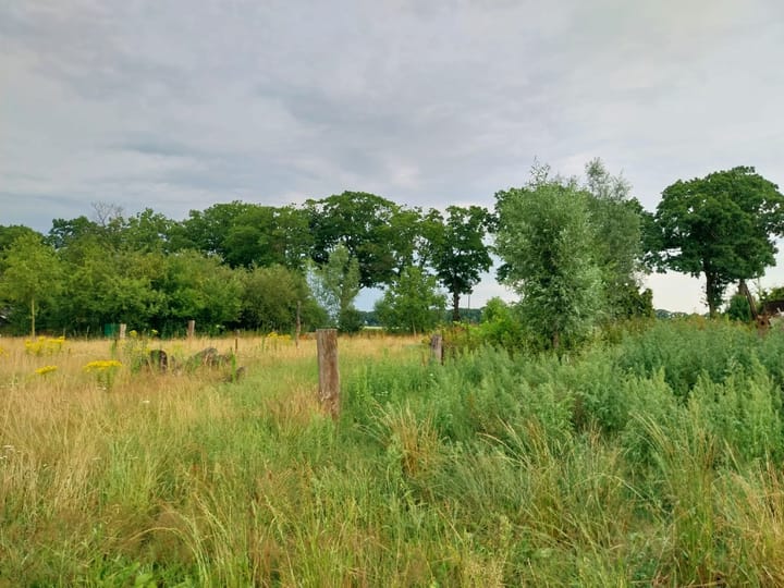 Foto 42 van Statenweg 43