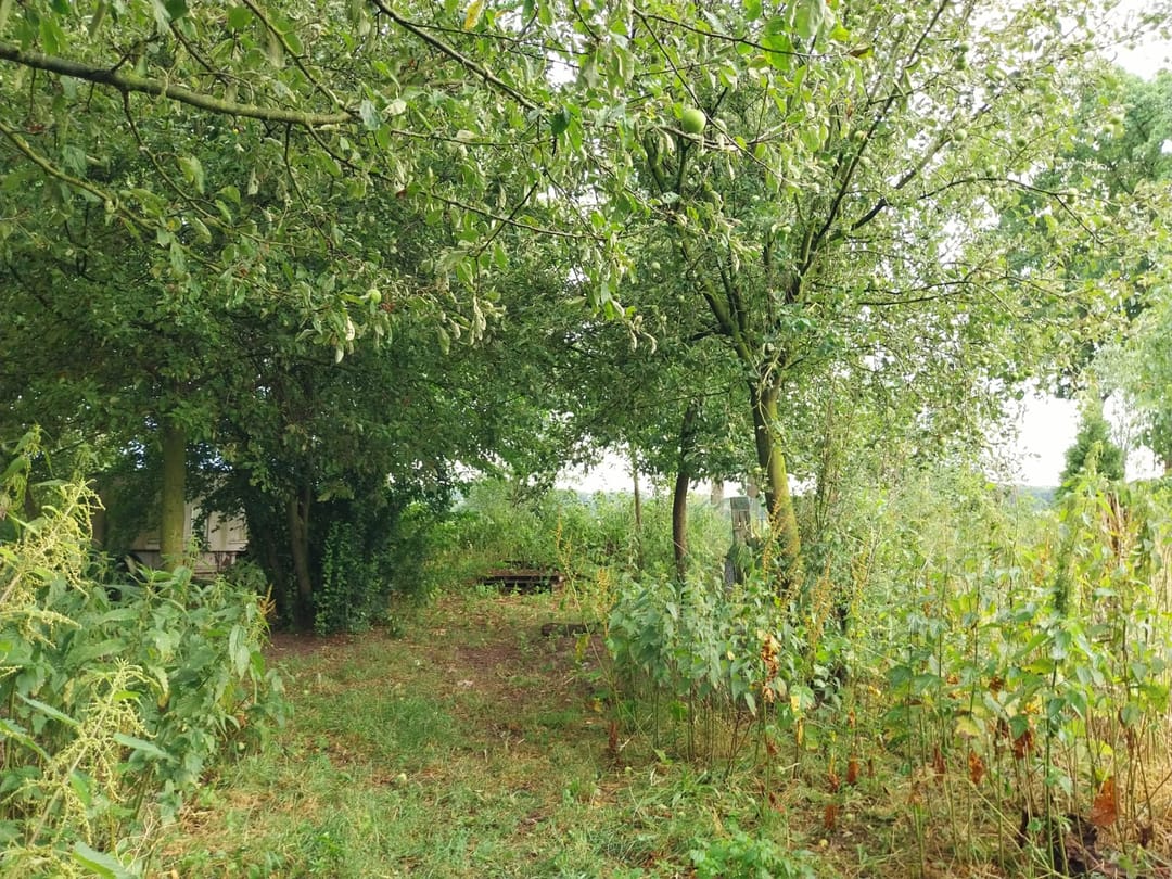 Foto 43 van Statenweg 43